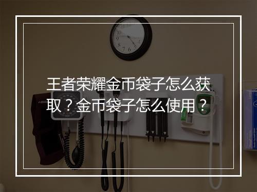 王者荣耀金币袋子怎么获取？金币袋子怎么使用？