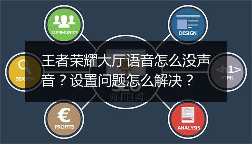 王者荣耀大厅语音怎么没声音？设置问题怎么解决？