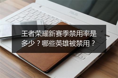 王者荣耀新赛季禁用率是多少？哪些英雄被禁用？