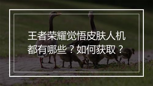 王者荣耀觉悟皮肤人机都有哪些？如何获取？