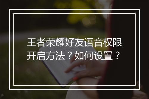 王者荣耀好友语音权限开启方法？如何设置？