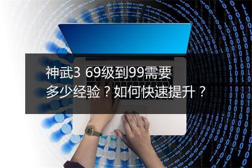 神武3 69级到99需要多少经验？如何快速提升？