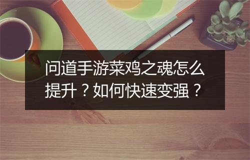 问道手游菜鸡之魂怎么提升？如何快速变强？