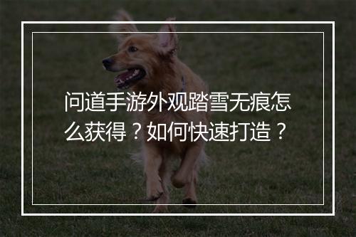 问道手游外观踏雪无痕怎么获得？如何快速打造？
