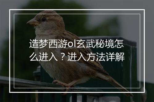 造梦西游ol玄武秘境怎么进入？进入方法详解