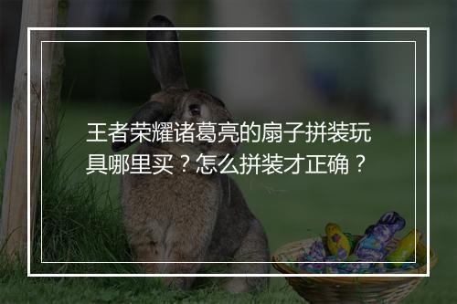 王者荣耀诸葛亮的扇子拼装玩具哪里买？怎么拼装才正确？