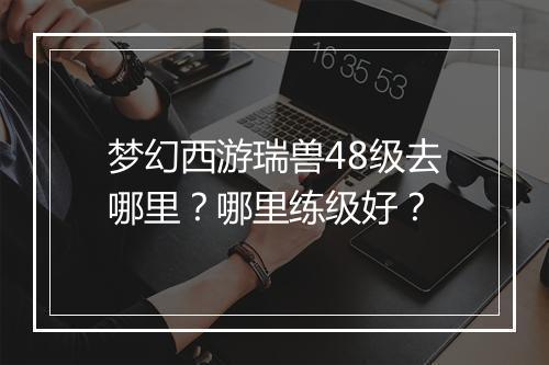 梦幻西游瑞兽48级去哪里？哪里练级好？
