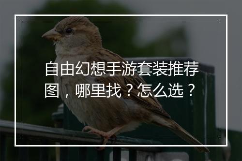 自由幻想手游套装推荐图，哪里找？怎么选？
