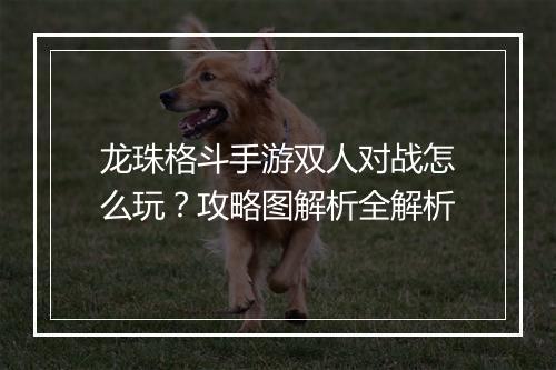 龙珠格斗手游双人对战怎么玩？攻略图解析全解析