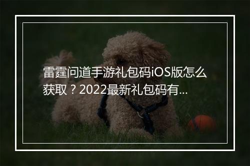 雷霆问道手游礼包码iOS版怎么获取？2022最新礼包码有哪些？