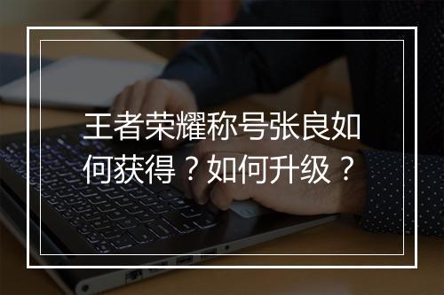 王者荣耀称号张良如何获得?如何升级?
