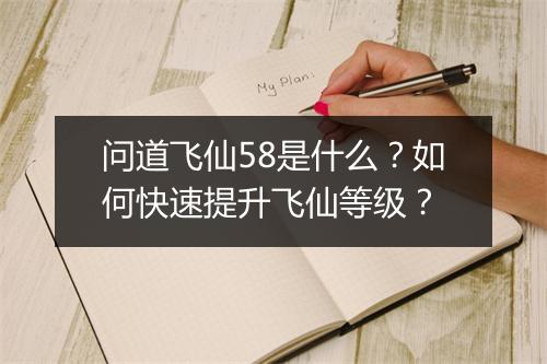 问道飞仙58是什么？如何快速提升飞仙等级？