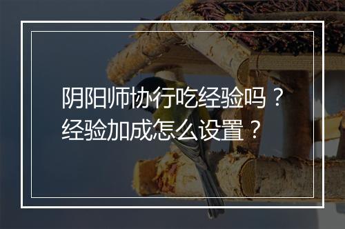 阴阳师协行吃经验吗？经验加成怎么设置？