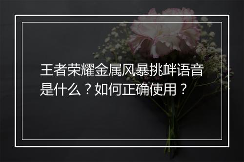 王者荣耀金属风暴挑衅语音是什么？如何正确使用？