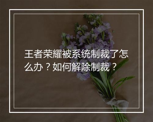 王者荣耀被系统制裁了怎么办？如何解除制裁？
