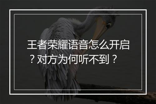 王者荣耀语音怎么开启？对方为何听不到？