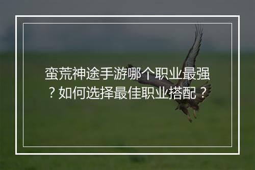 蛮荒神途手游哪个职业最强？如何选择最佳职业搭配？