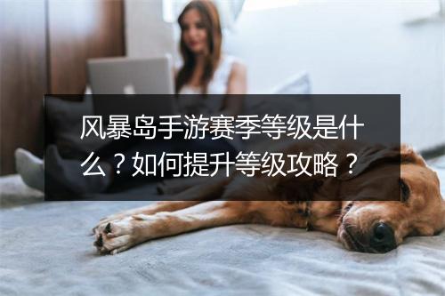 风暴岛手游赛季等级是什么？如何提升等级攻略？
