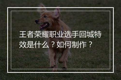 王者荣耀职业选手回城特效是什么?如何制作?