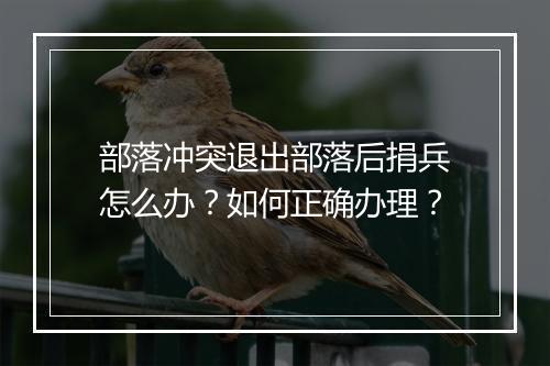 部落冲突退出部落后捐兵怎么办？如何正确办理？