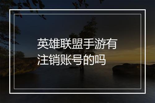 英雄联盟手游有注销账号的吗