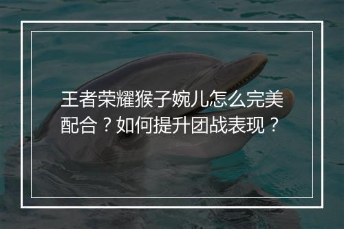 王者荣耀猴子婉儿怎么完美配合?如何提升团战表现?