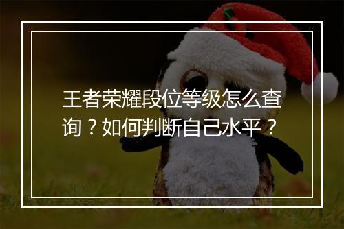 王者荣耀段位等级怎么查询?如何判断自己水平?