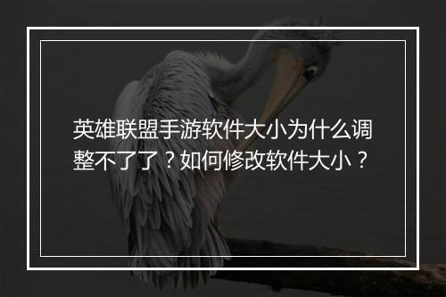 英雄联盟手游软件大小为什么调整不了了？如何修改软件大小？