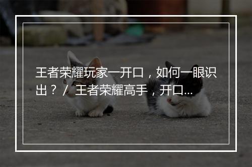 王者荣耀玩家一开口，如何一眼识出？／ 王者荣耀高手，开口便知？