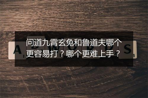问道九霄玄兔和鲁道夫哪个更容易打？哪个更难上手？