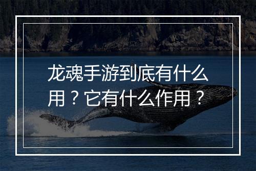 龙魂手游到底有什么用？它有什么作用？