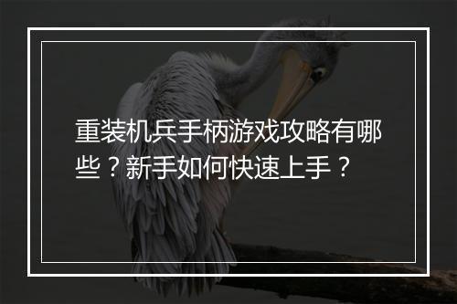 重装机兵手柄游戏攻略有哪些？新手如何快速上手？