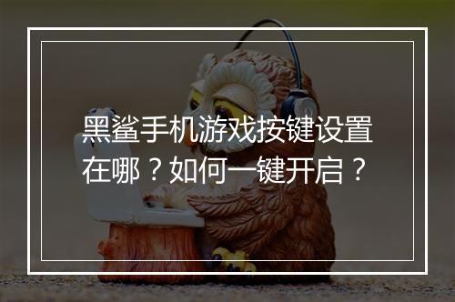 黑鲨手机游戏按键设置在哪？如何一键开启？