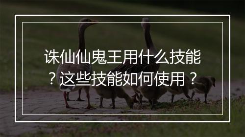 诛仙仙鬼王用什么技能？这些技能如何使用？