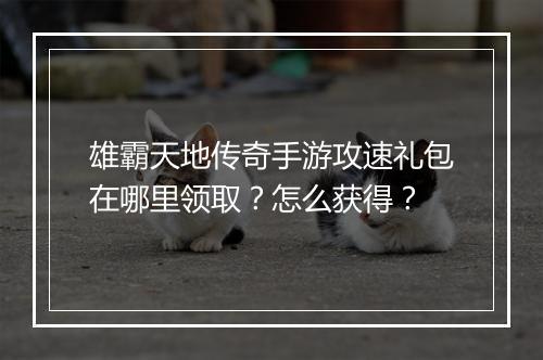 雄霸天地传奇手游攻速礼包在哪里领取?怎么获得?