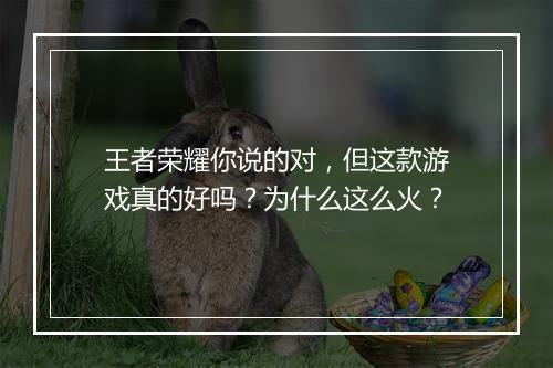 王者荣耀你说的对，但这款游戏真的好吗？为什么这么火？