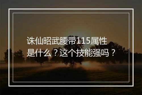 诛仙昭武腰带115属性是什么？这个技能强吗？