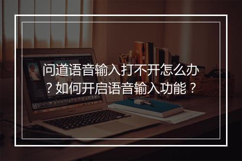 问道语音输入打不开怎么办？如何开启语音输入功能？