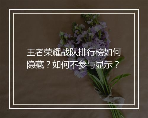 王者荣耀战队排行榜如何隐藏？如何不参与显示？