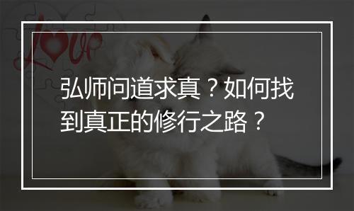 弘师问道求真？如何找到真正的修行之路？