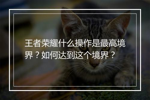 王者荣耀什么操作是最高境界？如何达到这个境界？