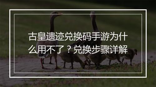 古皇遗迹兑换码手游为什么用不了？兑换步骤详解