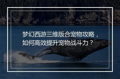 梦幻西游三维版合宠物攻略，如何高效提升宠物战斗力？