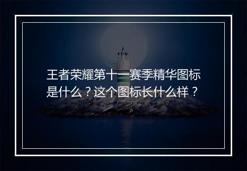 王者荣耀第十一赛季精华图标是什么?这个图标长什么样?