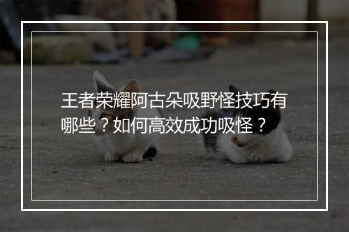 王者荣耀阿古朵吸野怪技巧有哪些？如何高效成功吸怪？
