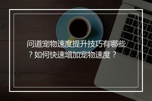问道宠物速度提升技巧有哪些?如何快速增加宠物速度?