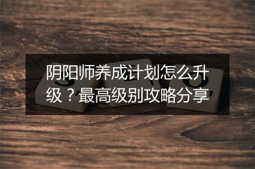阴阳师养成计划怎么升级?最高级别攻略分享