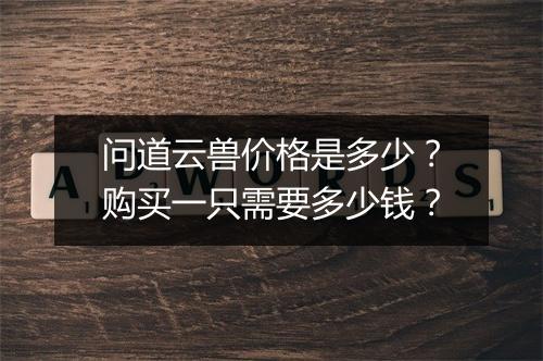 问道云兽价格是多少?购买一只需要多少钱?