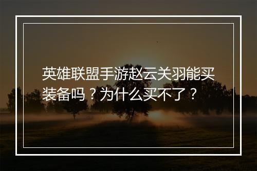 英雄联盟手游赵云关羽能买装备吗？为什么买不了？