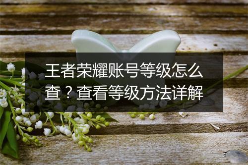 王者荣耀账号等级怎么查？查看等级方法详解